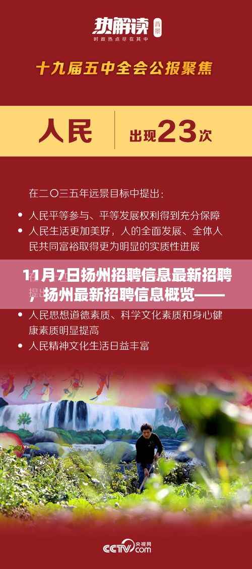 聚焦扬州职场动态,最新招聘信息概览(11月7日更新)