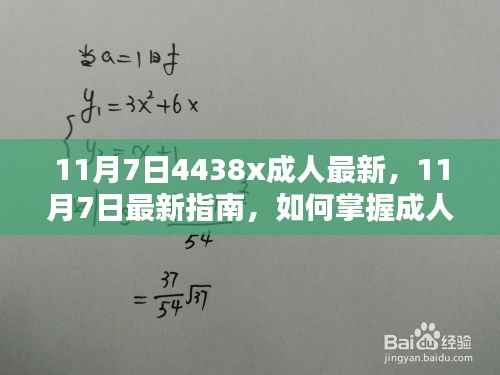 掌握进阶技能,成人学习指南与最新学习技能解析