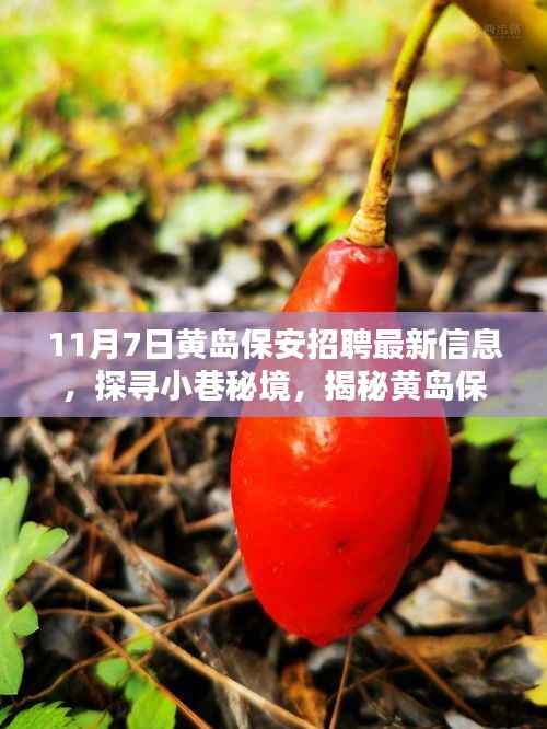 黄岛保安最新招聘动态及隐藏美味探索,11月7日招聘信息解密