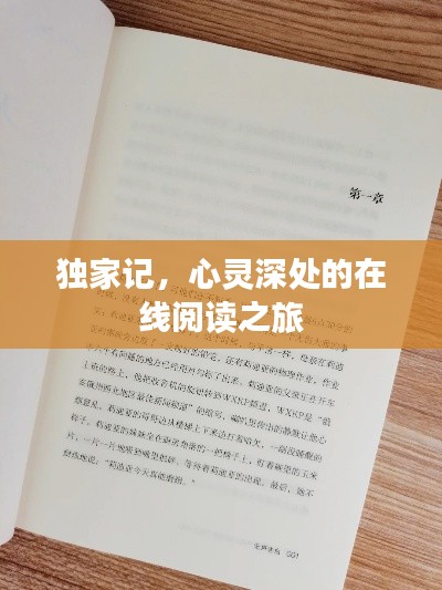 独家记,心灵深处的在线阅读之旅
