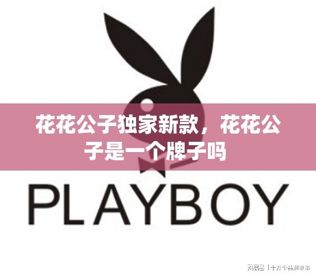 花花公子独家新款,花花公子是一个牌子吗