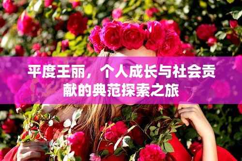 平度王丽,个人成长与社会贡献的典范探索之旅