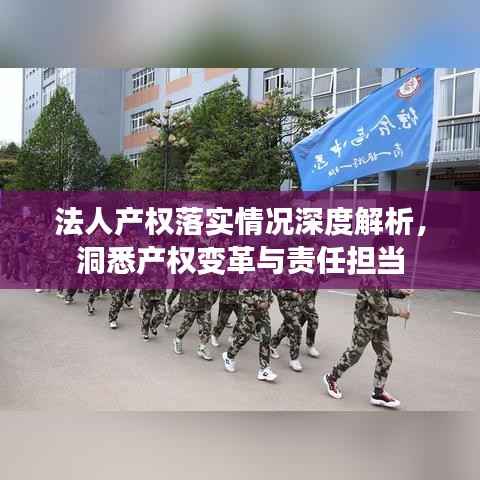 法人产权落实情况深度解析,洞悉产权变革与责任担当