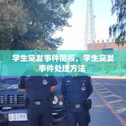 学生突发事件简报,学生突发事件处理方法