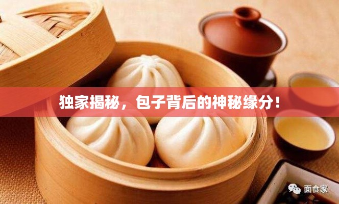 独家揭秘,包子背后的神秘缘分!