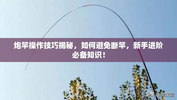 贵阴贱璧 第3页