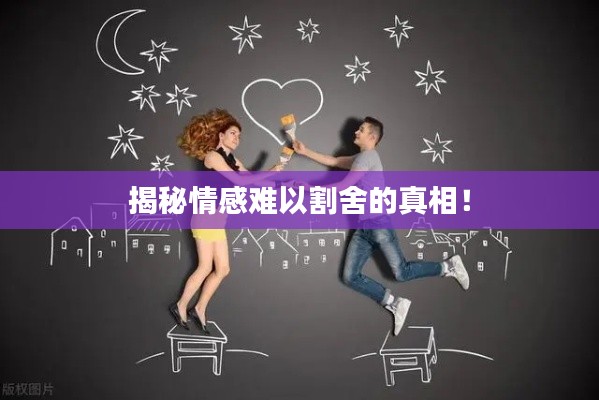 揭秘情感难以割舍的真相!