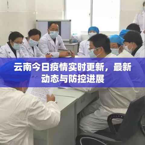云南今日疫情实时更新,最新动态与防控进展