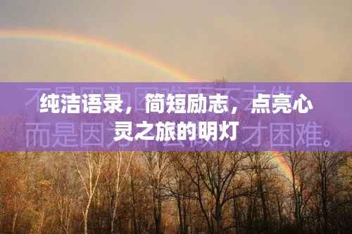 纯洁语录,简短励志,点亮心灵之旅的明灯