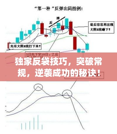 独家反袋技巧,突破常规,逆袭成功的秘诀!