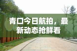 翰飞戾天 第2页