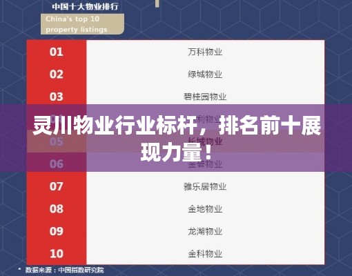 灵川物业行业标杆,排名前十展现力量!