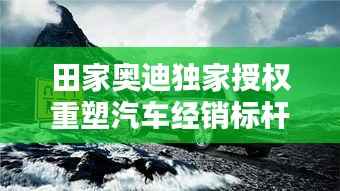 伤弓之鸟 第2页