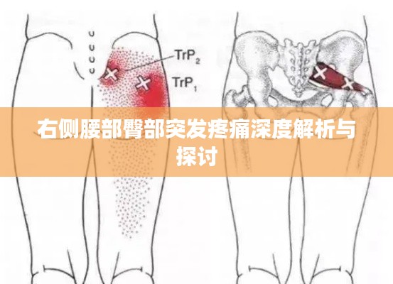 右侧腰部臀部突发疼痛深度解析与探讨