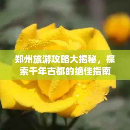 郑州旅游攻略大揭秘,探索千年古都的绝佳指南