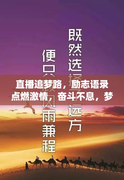 见仁见智 第2页