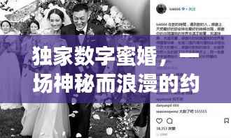 独家数字蜜婚，一场神秘而浪漫的约定