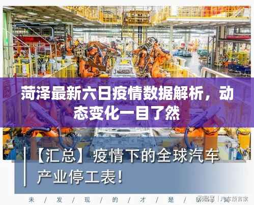 菏泽最新六日疫情数据解析，动态变化一目了然